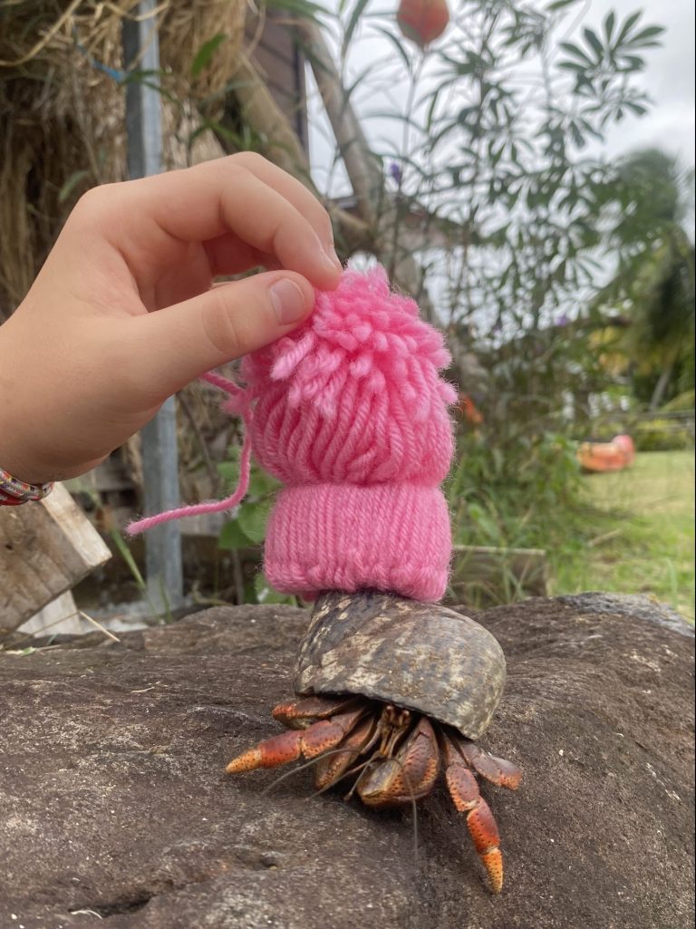 Petit Bonnet Rose